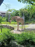 天王寺動物園に投稿された画像（2026/4/26）