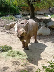 天王寺動物園に投稿された画像（2026/4/26）