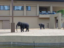 天王寺動物園に投稿された画像（2026/4/26）