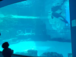名古屋港水族館に投稿された画像（2026/4/26）