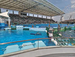 名古屋港水族館に投稿された画像（2026/4/26）