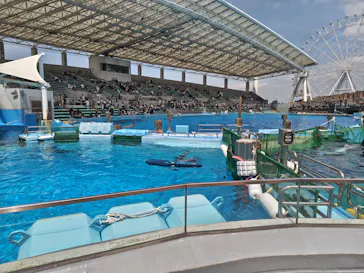 名古屋港水族館に投稿された画像（2026/4/26）