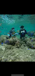 武藤潜水に投稿された画像（2026/4/26）