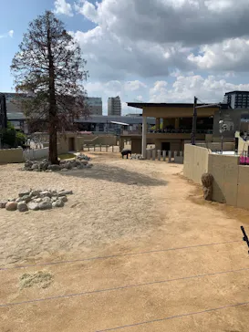 天王寺動物園に投稿された画像（2026/4/26）