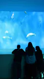 大分マリーンパレス水族館 「うみたまご」に投稿された画像（2026/4/26）