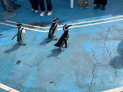 のとじま水族館に投稿された画像（2026/4/26）