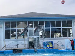 のとじま水族館に投稿された画像（2026/4/26）