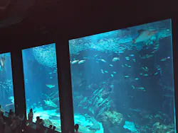 マリンワールド海の中道に投稿された画像（2026/4/26）