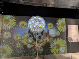 NAKED meets ガウディ展【大阪】に投稿された画像（2026/4/26）