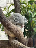 名古屋市東山動植物園に投稿された画像（2026/4/26）