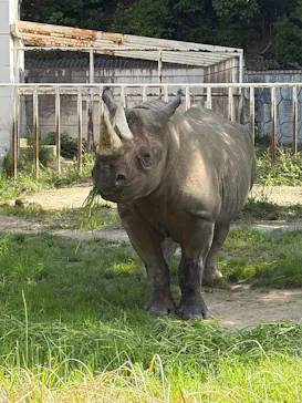 名古屋市東山動植物園に投稿された画像（2026/4/26）