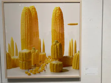 MINIATURE LIFE展2 － 田中達也 見立ての世界－に投稿された画像（2026/4/26）