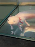 体感型動物園iZooに投稿された画像（2026/4/26）