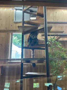 名古屋市東山動植物園に投稿された画像（2026/4/26）
