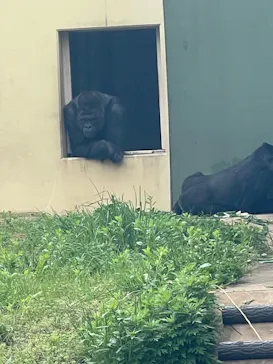 名古屋市東山動植物園に投稿された画像（2026/4/26）