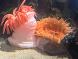 仙台うみの杜水族館に投稿された画像（2026/4/26）