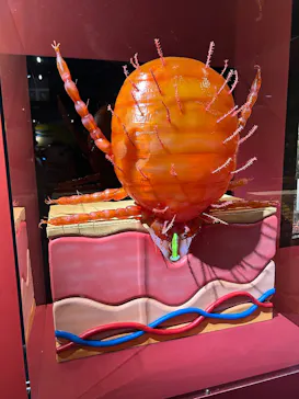 特別展「超危険生物展　科学で挑む生き物の本気」に投稿された画像（2026/4/26）