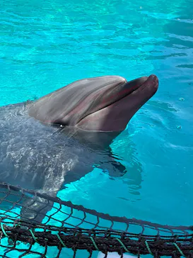 ゼロ距離水族館 伊勢シーパラダイスに投稿された画像（2026/4/26）