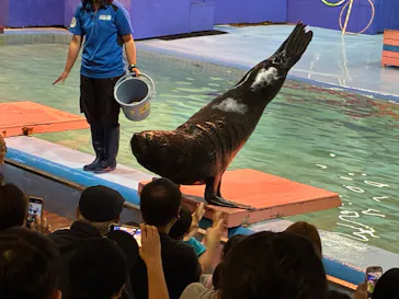 ゼロ距離水族館 伊勢シーパラダイスに投稿された画像（2026/4/26）