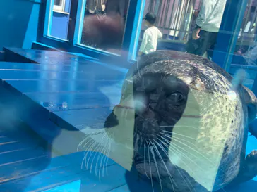 ゼロ距離水族館 伊勢シーパラダイスに投稿された画像（2026/4/26）