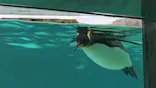 葛西臨海水族園に投稿された画像（2026/4/26）