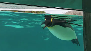葛西臨海水族園に投稿された画像（2026/4/26）
