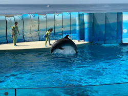 新江ノ島水族館に投稿された画像（2026/4/26）