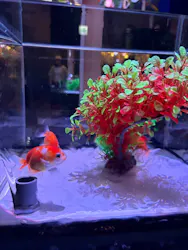 南知多ビーチランド＆南知多おもちゃ王国に投稿された画像（2026/4/26）