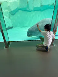 南知多ビーチランド＆南知多おもちゃ王国に投稿された画像（2026/4/26）