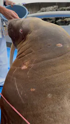 大分マリーンパレス水族館 「うみたまご」に投稿された画像（2026/4/26）