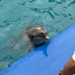大分マリーンパレス水族館 「うみたまご」に投稿された画像（2026/4/26）