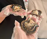 真珠工房 真珠の里に投稿された画像（2026/4/26）
