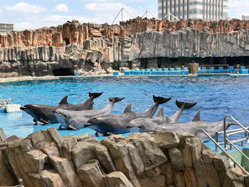 名古屋港水族館に投稿された画像（2026/4/26）