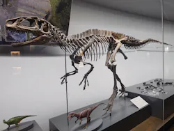 福井県立恐竜博物館に投稿された画像（2026/4/26）