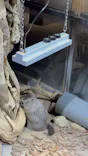 AQUARIUM × ART　atoaに投稿された画像（2026/4/26）
