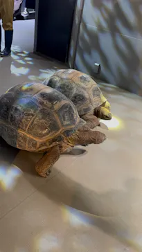 AQUARIUM × ART　atoaに投稿された画像（2026/4/26）