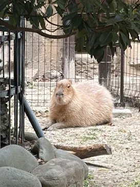名古屋市東山動植物園に投稿された画像（2026/4/26）