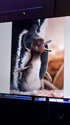 すみだ水族館に投稿された画像（2026/4/26）