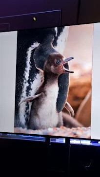 すみだ水族館に投稿された画像（2026/4/26）