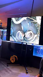 すみだ水族館に投稿された画像（2026/4/26）