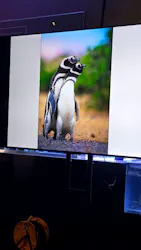 すみだ水族館に投稿された画像（2026/4/26）