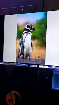 すみだ水族館に投稿された画像（2026/4/26）