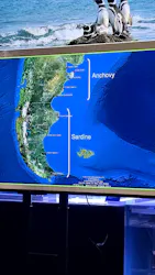 すみだ水族館に投稿された画像（2026/4/26）