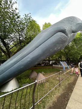 国立科学博物館に投稿された画像（2026/4/26）