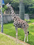 千葉市動物公園に投稿された画像（2026/4/26）