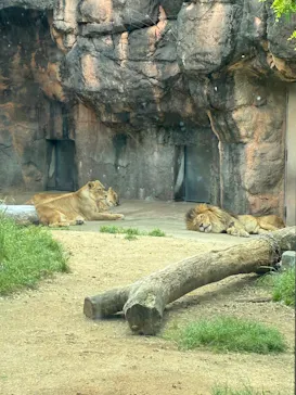 天王寺動物園に投稿された画像（2026/4/26）