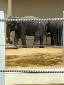 天王寺動物園に投稿された画像（2026/4/26）