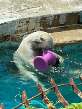 天王寺動物園に投稿された画像（2026/4/26）