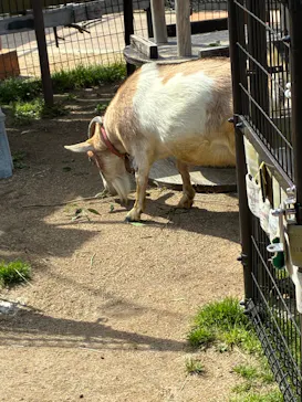 天王寺動物園に投稿された画像（2026/4/26）
