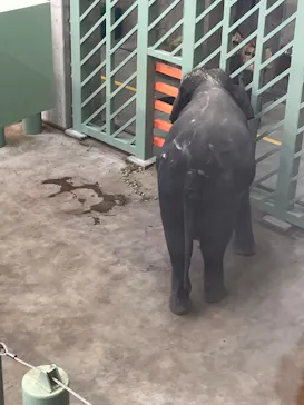 天王寺動物園に投稿された画像（2026/4/26）